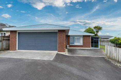 Photo of property in 167a Clarkin Road, Fairfield, Hamilton, 3214