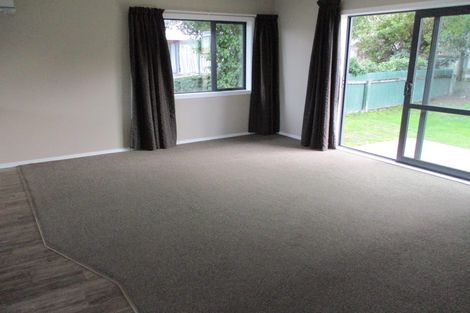 Photo of property in 56 Shamrock Street, Takaro, Palmerston North, 4412