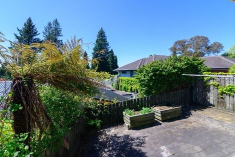 Photo of property in 9a Jackson Street, Springfield, Rotorua, 3015