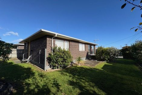 Photo of property in 34a Power Street, Levin, 5510