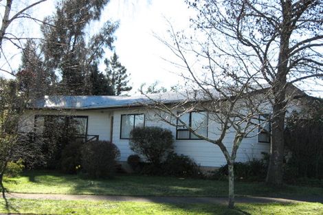 Photo of property in 3 Breadalbane Road, Havelock North, 4130