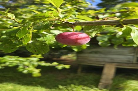 Photo of property in 656 Takahue Road, Takahue, Kaitaia, 0481