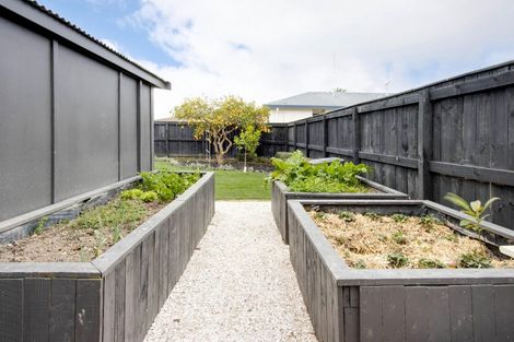 Photo of property in 113 Nelson Crescent, Napier South, Napier, 4110