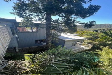 Photo of property in 19 Rayner Road, Piha, New Lynn, 0772