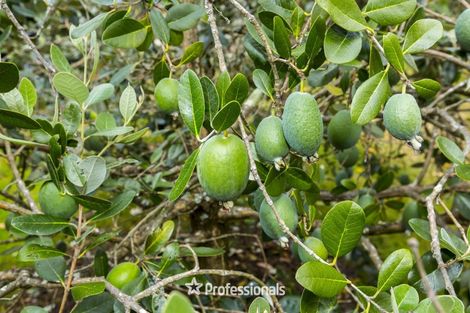 Photo of property in 64 Ebdentown Street, Ebdentown, Upper Hutt, 5018