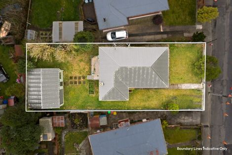 Photo of property in 111 Norwood Street, Normanby, Dunedin, 9010