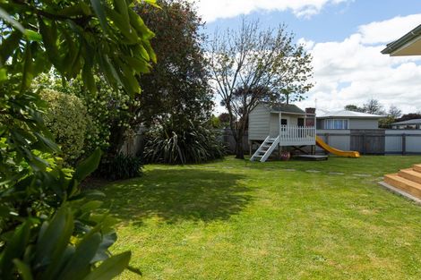 Photo of property in 38 Liverpool Street, Takaro, Palmerston North, 4412