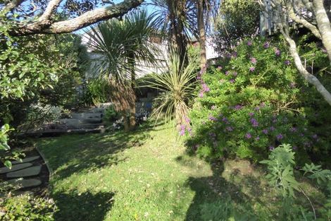 Photo of property in 22 Pelorous Street, Paparangi, Wellington, 6037