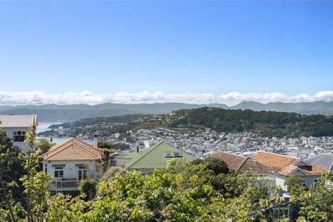 Photo of property in 55 Central Terrace, Kelburn, Wellington, 6012