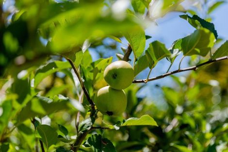 Photo of property in 89 Botanical Road, Tauranga South, Tauranga, 3112