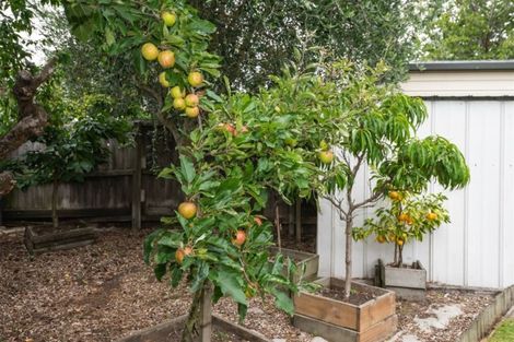 Photo of property in 8 Merton Place, Bryndwr, Christchurch, 8053