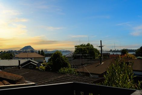 Photo of property in 17 Hairini Street, Hairini, Tauranga, 3112