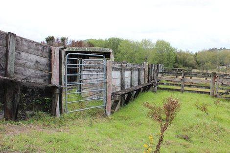 Photo of property in 1453 Tangowahine Valley Road, Tangowahine, Dargaville, 0372