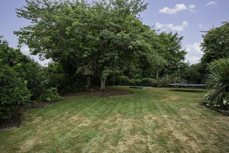 Photo of property in 40 Cowley Drive, Leamington, Cambridge, 3432