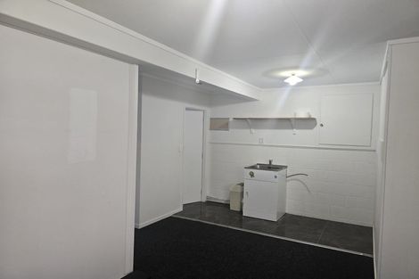 Photo of property in 3 Griffen Park Road, Mount Roskill, Auckland, 1041