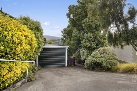 Photo of property in 43 Signal Hill Road, Opoho, Dunedin, 9010