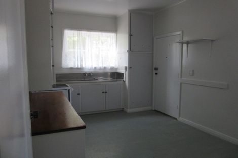 Photo of property in 13 Massey Avenue, Greenlane, Auckland, 1061