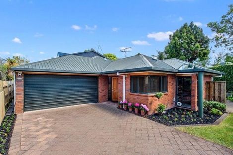 Photo of property in 8a Hammond Street, Hamilton Central, Hamilton, 3204