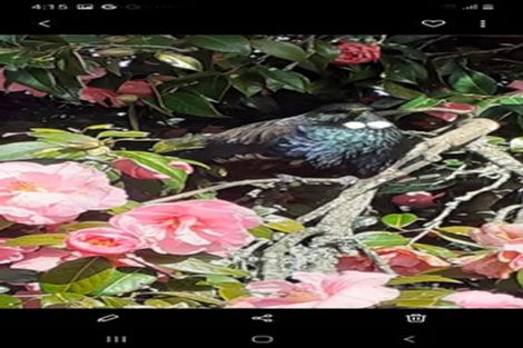 Photo of property in 184 Parapara Rd (state Highway 4), Raetihi, Whanganui, 4573