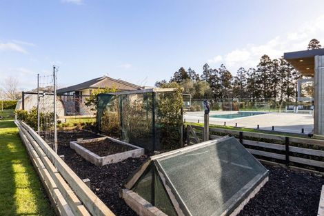 Photo of property in 499 Seddon Road, Gordonton, Hamilton, 3287
