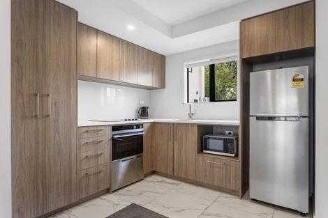 Photo of property in 29 Bings Lane, Richmond, Christchurch, 8013