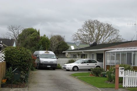 Photo of property in 56b Rugby Street, Levin, 5510