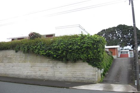 Photo of property in 112a Young Street, New Plymouth, 4310