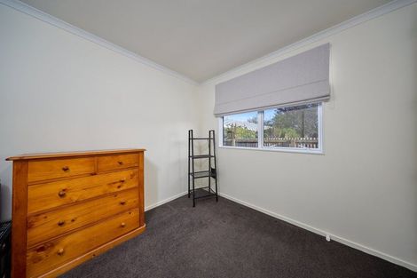 Photo of property in 27 Parnassus Street, Waiau, 7332