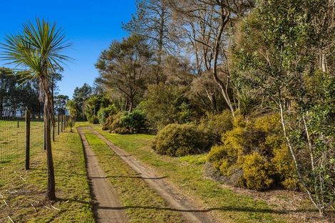 Photo of property in 449 Grieve Road, Te Teko, Whakatane, 3193