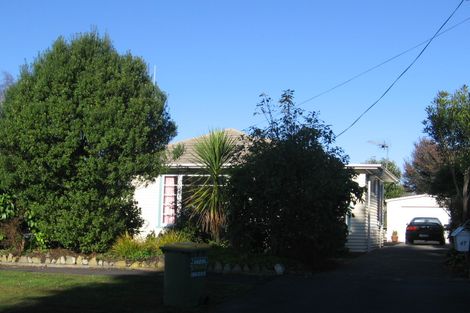 Photo of property in 47a Casey Avenue, Fairfield, Hamilton, 3214