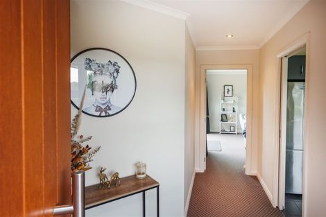 Photo of property in 137 Wyndham Street, Ashhurst, 4810