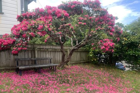 Photo of property in 21 Burnell Avenue, Thorndon, Wellington, 6011