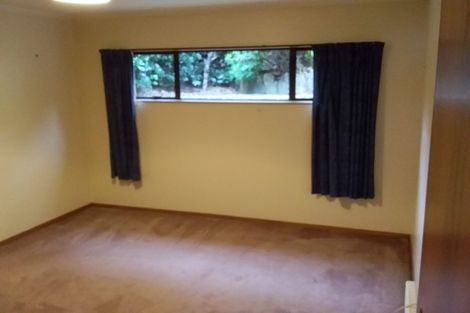 Photo of property in 3 Merlin Street, Roslyn, Dunedin, 9010