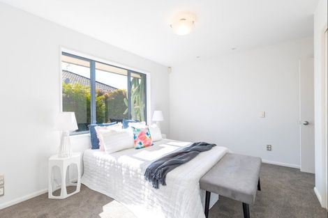 Photo of property in 17 Ballymena Drive, Belfast, Christchurch, 8051