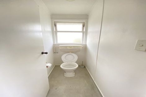 Photo of property in 51 Potter Avenue, Northcote, Auckland, 0627