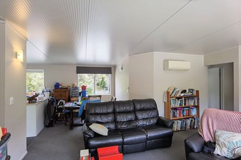 Photo of property in 3 Hurren Place West, Kumara Junction, Hokitika, 7882