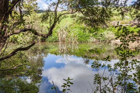 Photo of property in 195 Kapowai Road, Whenuakite, Whitianga, 3591