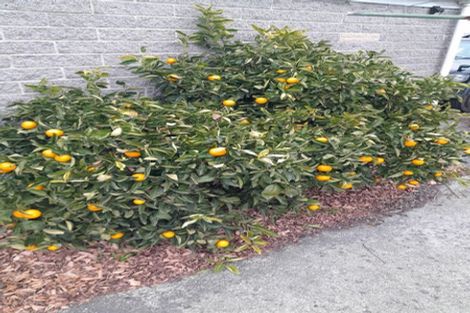 Photo of property in 4/9 Curletts Road, Sockburn, Christchurch, 8042