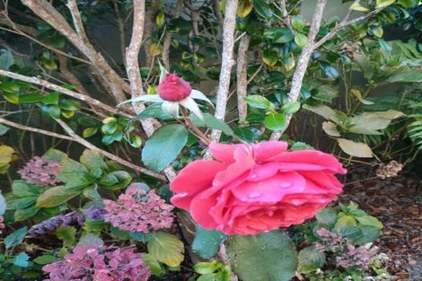 Photo of property in 1/34 Montgomery Street, Stokes Valley, Lower Hutt, 5019