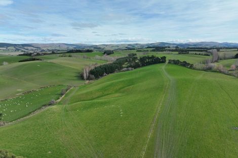 Photo of property in 41 Gray Road, Waitepeka, Balclutha, 9271