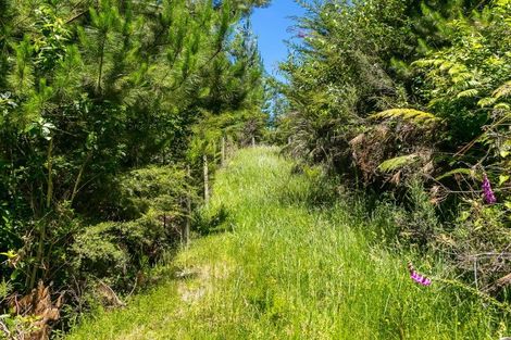 Photo of property in 4954 Kenepuru Road, Ohauparuparu Bay, Picton, 7282