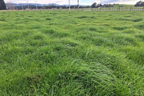 Photo of property in 61 Laws Road, Dannevirke, 4972