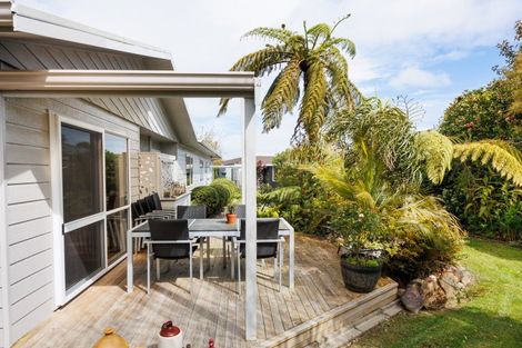 Photo of property in 27 Norfolk Crescent, Feilding, 4702