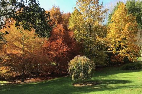 Photo of property in 3 Davis Strongman Place, Kerikeri, 0293