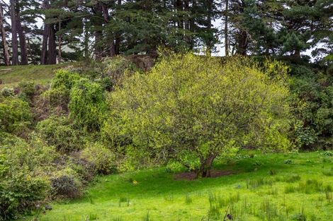 Photo of property in 174 Opaki Kaiparoro Road, Eketahuna, 4994