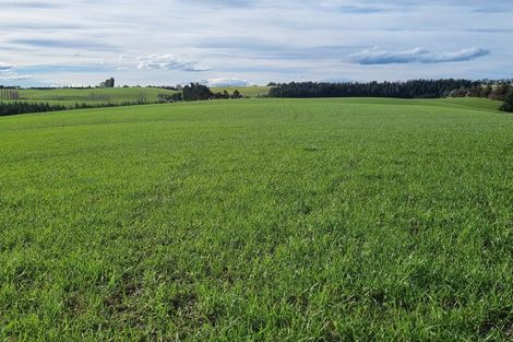 Photo of property in 41 Gray Road, Waitepeka, Balclutha, 9271