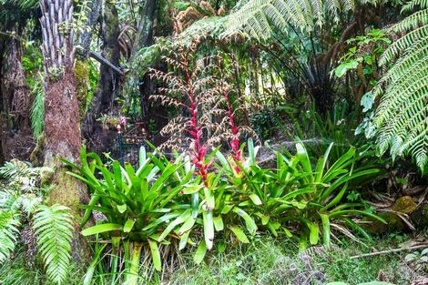 Photo of property in 896a Hikuai Settlement Road, Pauanui, Hikuai, 3579