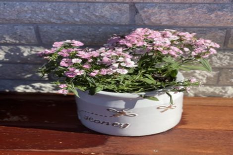 Photo of property in 1/10 Cardiff Avenue, Somerfield, Christchurch, 8024