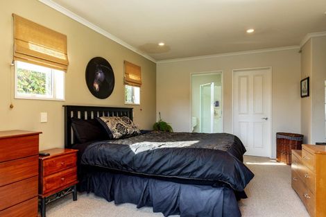 Photo of property in 255 Scott Street, Redwoodtown, Blenheim, 7201