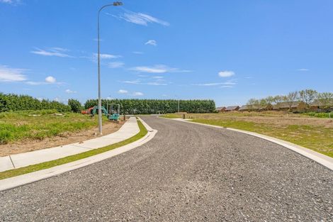 Photo of property in 30 Rakau Lane, Waikiwi, 9810